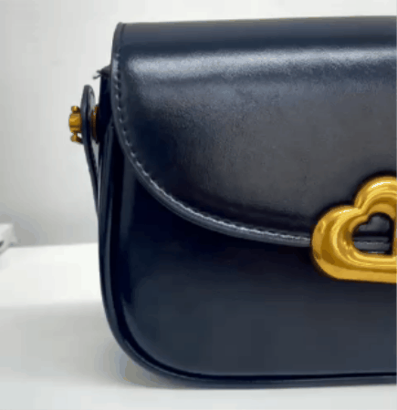 CARTERA GOXI BAGS Ref: FG25254
